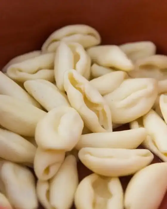 Handmade Lucanian cavatelli in a terracotta bowl