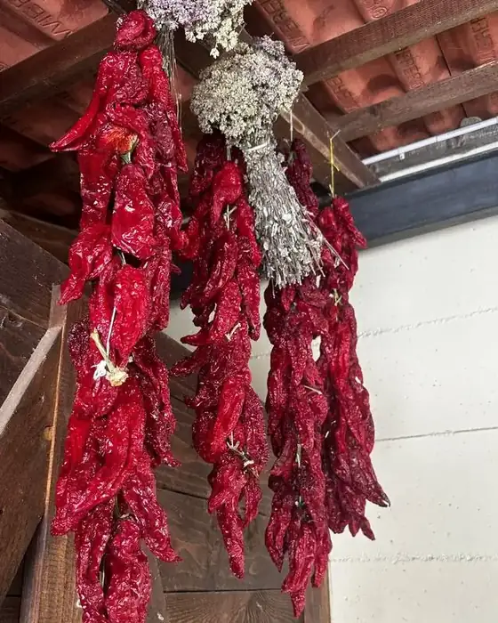 Strings of crusco peppers hanging to dry