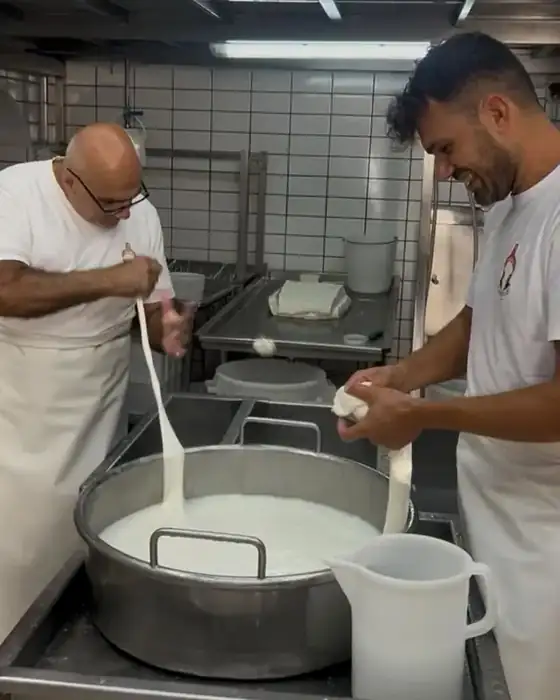 Two cheese makers stretching fresh mozzarella curd by hand over a steel vat in a dairy