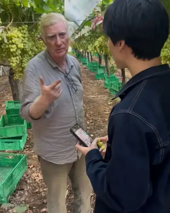 A local farmer talks with a visitor among table-grape vines and green harvest crates